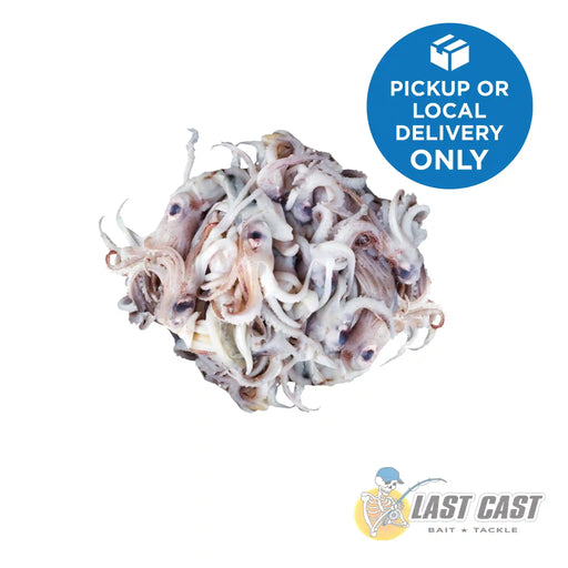 Addiction Outdoors Squid Heads Bait Bag 500g frozen bait for catching Snapper